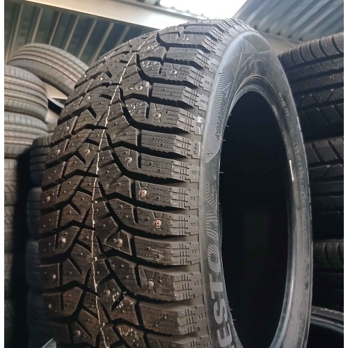 205/55R16 Bridgestone Blizzak Spike 02