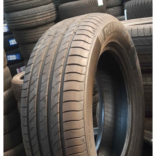 205/60R16 Delinte DS2