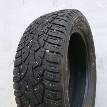 205/55R16 PointS Winterstar ST
