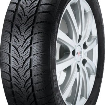 175/70R14 Platin RP60 winter
