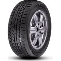 205/65R16 RoadX RxFrost WH01 205/65R16 RoadX RxFrost WH01